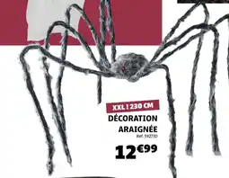 Gifi Décoration Araignée offre