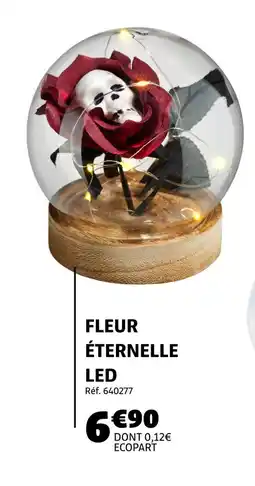Gifi Fleur Éternelle LED offre
