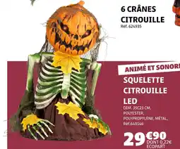 Gifi Squelette Citrouille LED offre