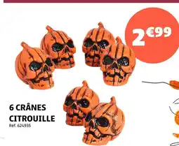 Gifi 6 Crânes Citrouille offre