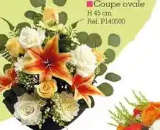 Kandy Coupe ovale offre