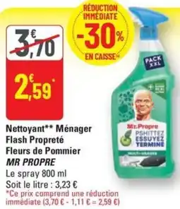 G20 MR PROPRE Nettoyant Ménager Flash Propreté Fleurs de Pommier offre