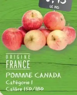 G20 Pomme canada offre