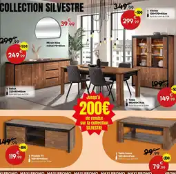 Maxi Bazar COLLECTION SILVESTRE offre