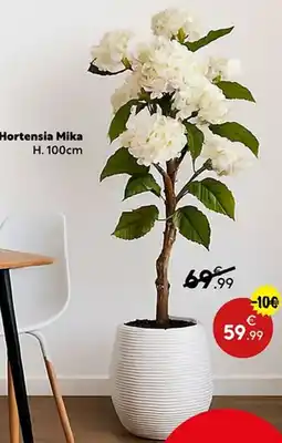 Maxi Bazar Hortensia Mika offre