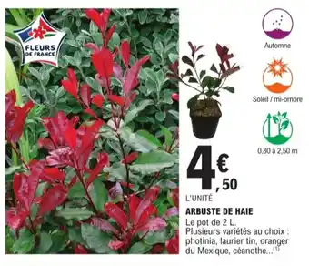 E.Leclerc Jardi Arbuste de haie offre