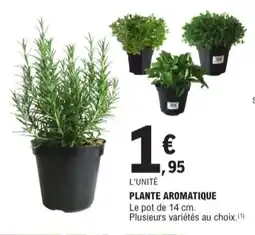E.Leclerc Jardi Plante aromatique offre