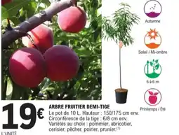 E.Leclerc Jardi Arbre fruitier demi-tige offre