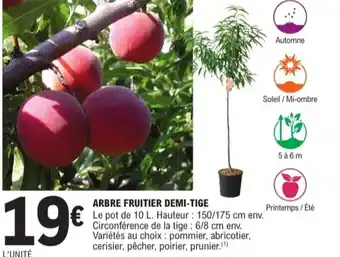 E.Leclerc Jardi Arbre fruitier demi-tige offre