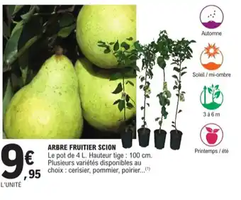 E.Leclerc Jardi Arbre fruitier scion offre