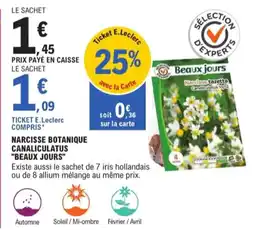 E.Leclerc Jardi Narcisse botanique canaliculatus beaux jours offre