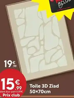 Maxi Bazar Toile 3D Ziad offre