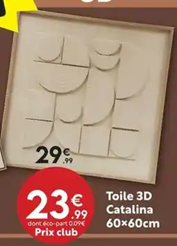 Maxi Bazar Toile 3D Catalina offre