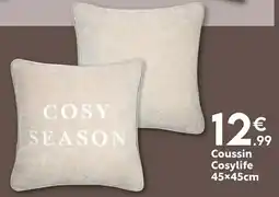 Maxi Bazar Coussin Cosylife offre