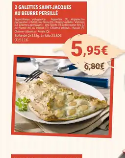 Gel 2000 2 galettes saint-jacques au beurre persillé offre