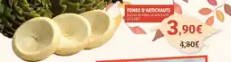 Gel 2000 Fonds d'artichauts offre