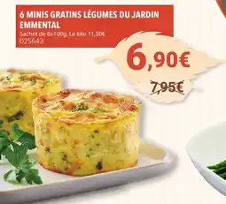 Gel 2000 6 minis gratins légumes du jardin offre