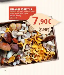 Gel 2000 Mélange forestier offre