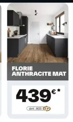 Brico Dépôt Florie anthracite mat offre