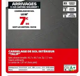 Brico Dépôt Carrelage de sol intérieur talip offre