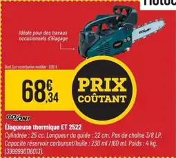 Bricorama GOON! Élagueuse thermique et 2522 offre