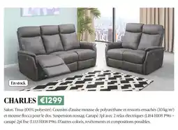 Meubles Crack CHARLES Salon offre