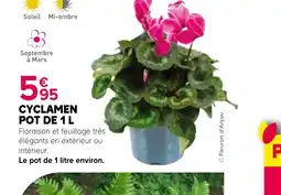 Kiriel Cyclamen pot offre