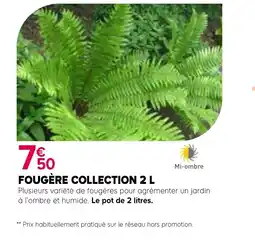 Kiriel Fougère collection offre