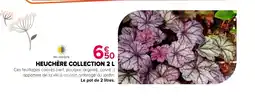 Kiriel Heuchère collection offre