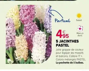 Kiriel 5 jacinthes pastel offre