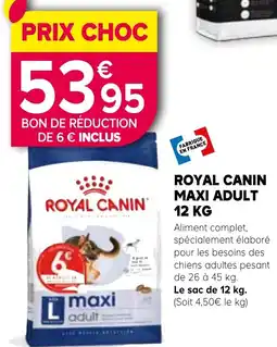 Kiriel ROYAL CANIN Maxi adult offre