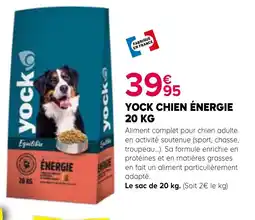 Kiriel YOCK Chien énergie offre