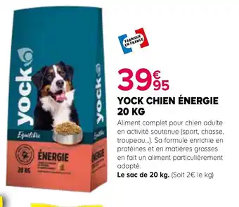 YOCK Chien énergie