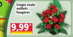 Norma Coupe ovale oeillets fougères offre