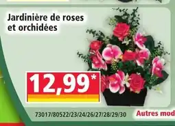 Norma Jardinière de roses et orchidées offre