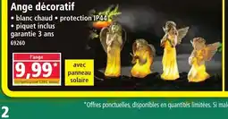 Norma Ange décoratif offre