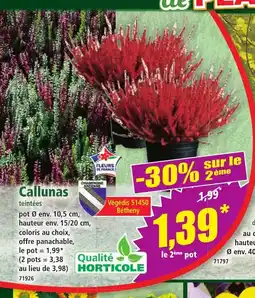 Norma Callunas offre