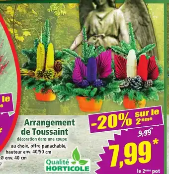 Norma Arrangement de Toussaint offre