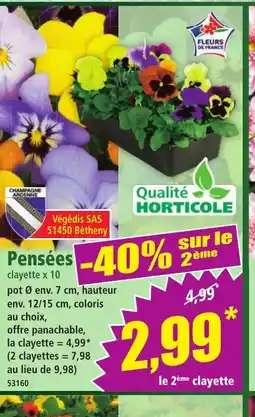 Norma Pensées clayette offre