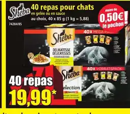 Norma SHEBA 40 repas pour chats offre