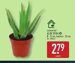 ALDI GARDENLINE Aloe vera offre