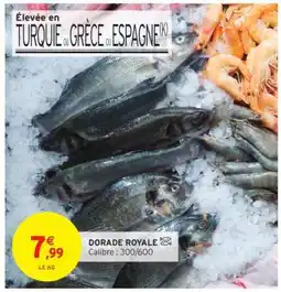 Intermarché DORADE ROYALE offre