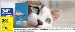 Carrefour PURINA ONE offre