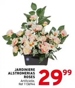 Trafic Jardiniere alstromerias roses offre