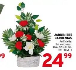 Trafic Jardiniere gardenias offre