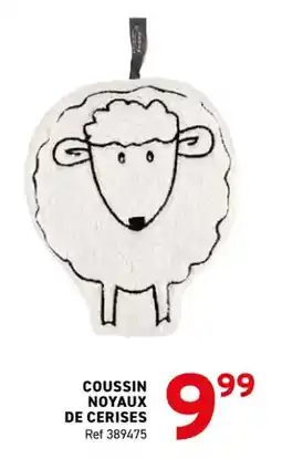 Trafic Coussin noyaux de cerises offre