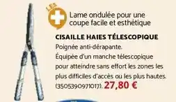 Bricomarché Facile - cisaille haies télescopique offre