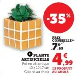 Super U Plante artificielle offre