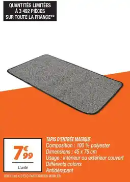 Netto Tapis d'entrée magique offre