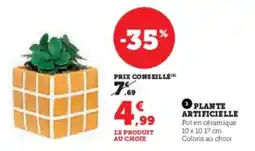 Hyper U Plante artificielle offre